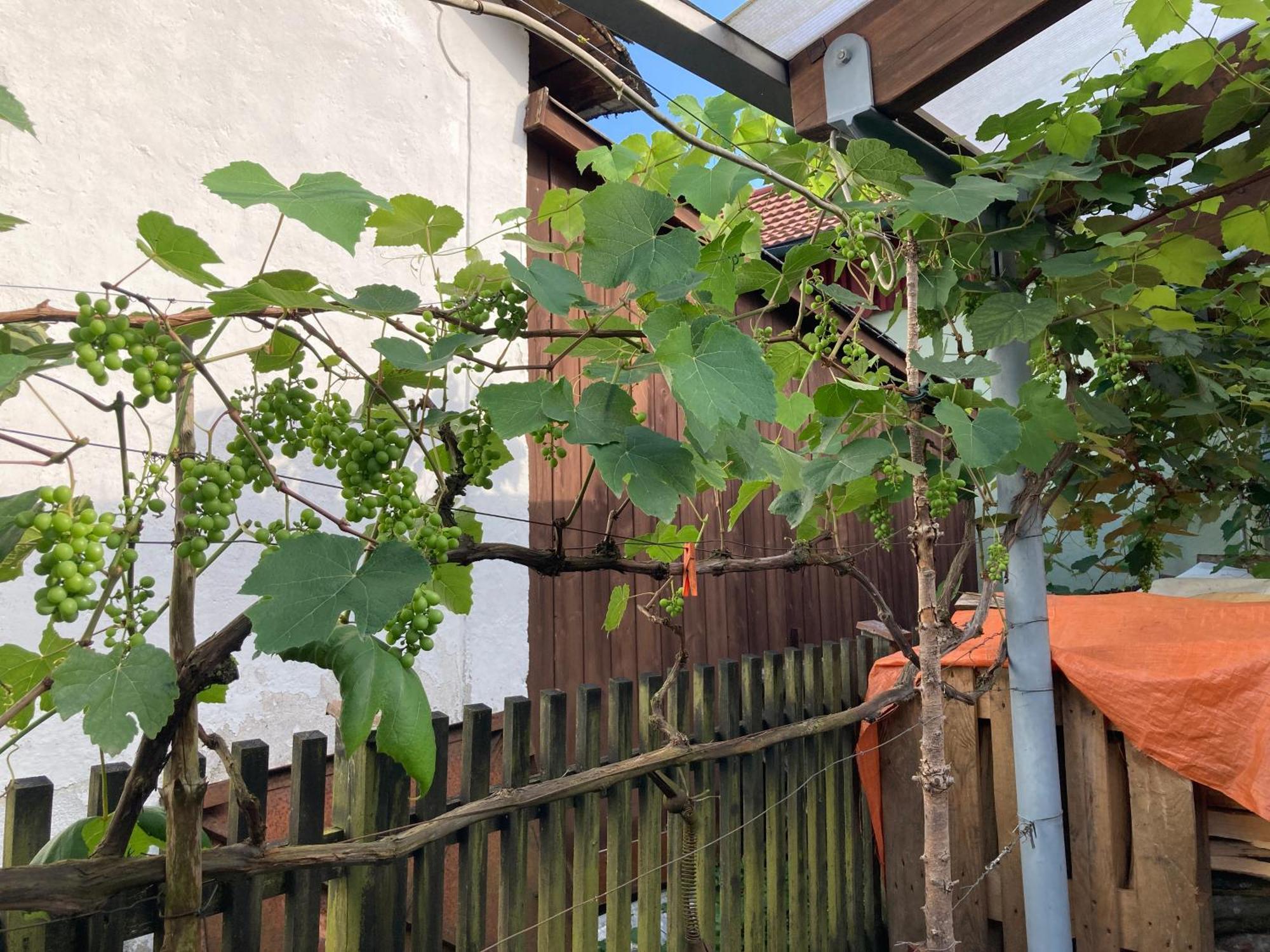 Ferienwohnung Schreiner Wernstein am Inn Zewnętrze zdjęcie